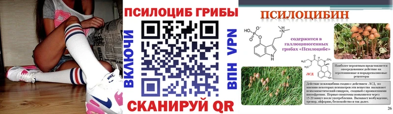 Галлюциногенные грибы мицелий  Новая Ладога 
